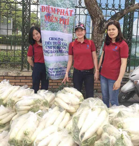 Công ty Thịnh Long chung tay “giải cứu” củ cải cho nông dân